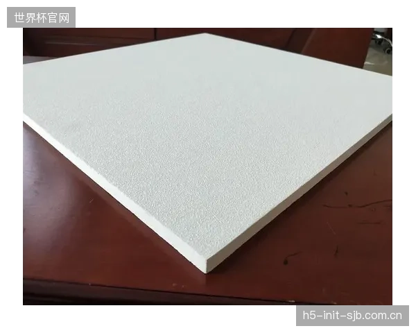 除了价格优势，国产玻纤吸音板距离顶尖国际品牌还差几个“静态流阻率”？